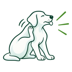 Chien inconfortable illustrant des déséquilibres cutanés visibles