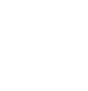 dog-paw-img