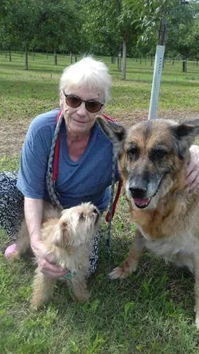 Esmée, berger allemand, avec sa propriétaire et un autre chien