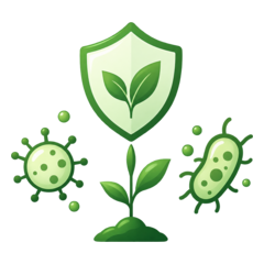 Micro-organismes et bouclier végétal représentant la flore cutanée