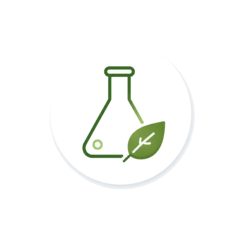 Fiole et feuille représentant une chimie plus verte