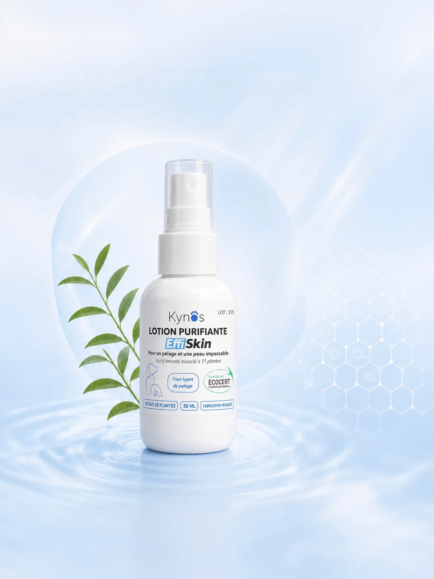 Flacon EffiSkin Lotion 50 ml, soin cutané pour chien et chat