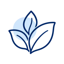 Feuilles représentant les actifs végétaux d’origine naturelle